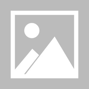 pg电子游戏免费-德国杯焦点战：德累斯顿 VS 美因茨，德乙劲旅迎战德甲中游队